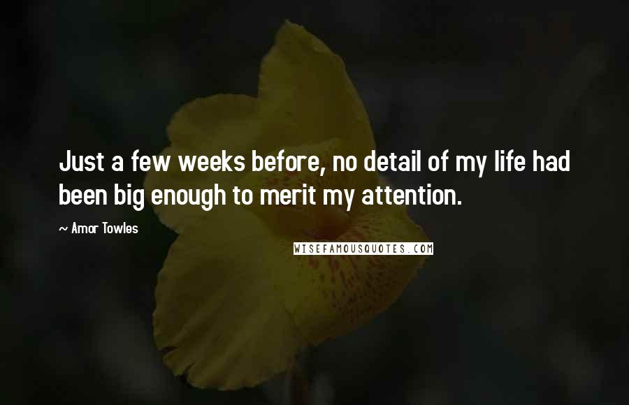 Amor Towles Quotes: Just a few weeks before, no detail of my life had been big enough to merit my attention.