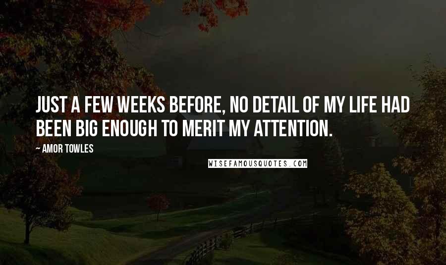 Amor Towles Quotes: Just a few weeks before, no detail of my life had been big enough to merit my attention.