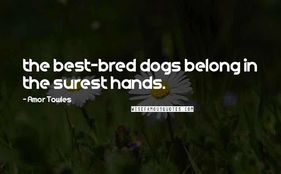 Amor Towles Quotes: the best-bred dogs belong in the surest hands.