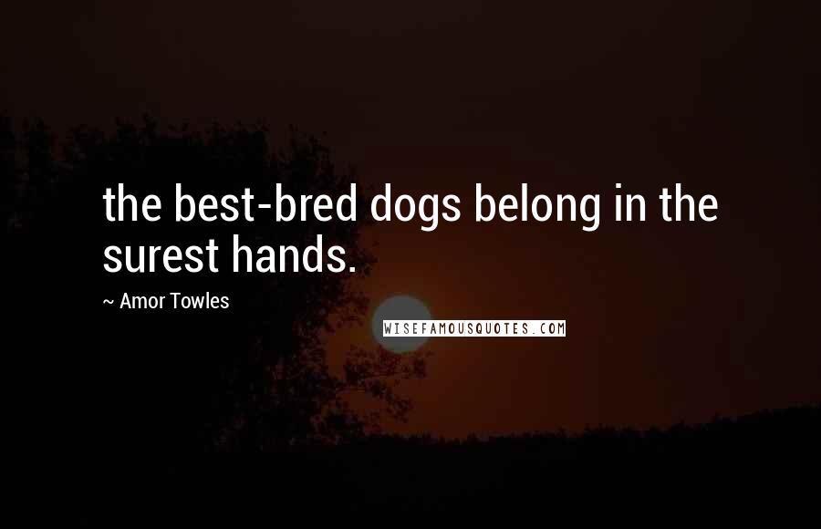 Amor Towles Quotes: the best-bred dogs belong in the surest hands.