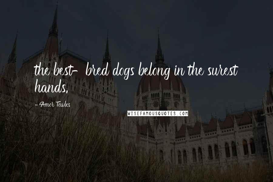 Amor Towles Quotes: the best-bred dogs belong in the surest hands.