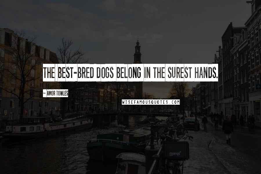 Amor Towles Quotes: the best-bred dogs belong in the surest hands.