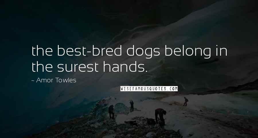 Amor Towles Quotes: the best-bred dogs belong in the surest hands.