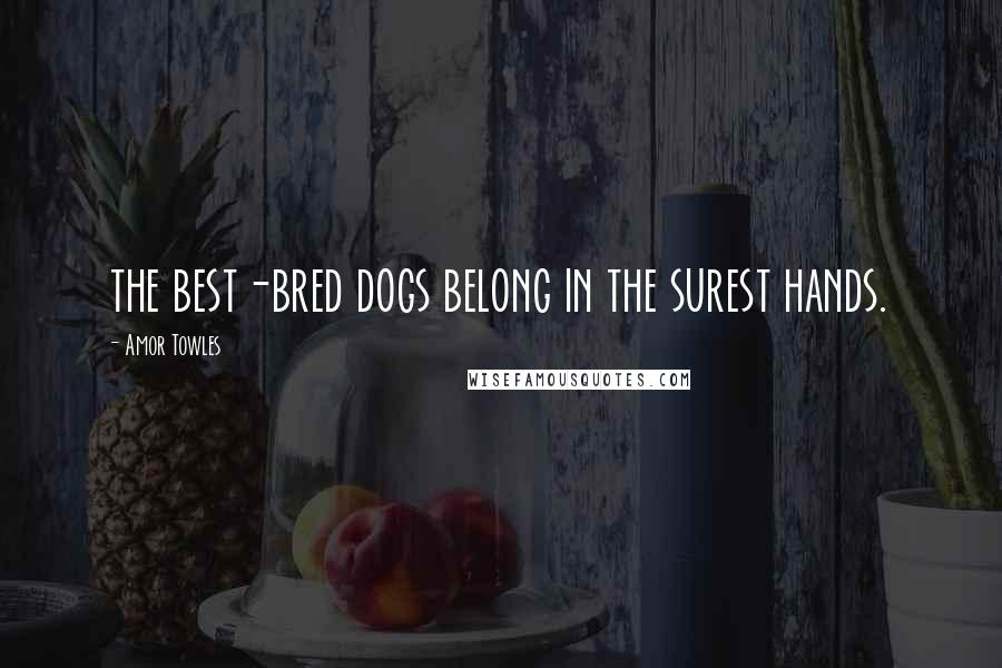 Amor Towles Quotes: the best-bred dogs belong in the surest hands.