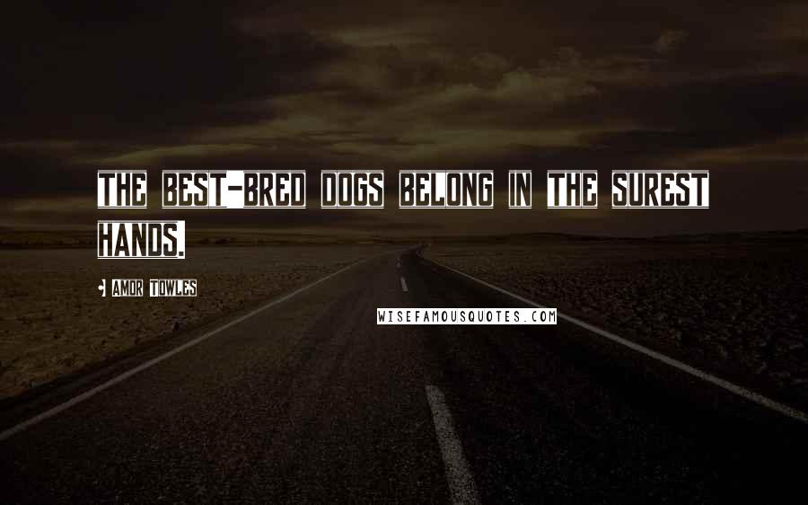 Amor Towles Quotes: the best-bred dogs belong in the surest hands.