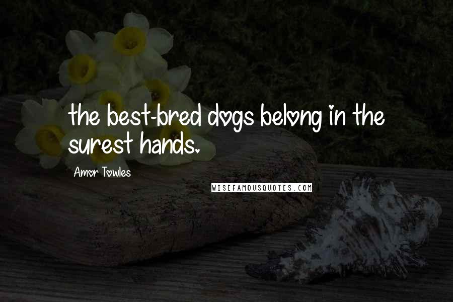 Amor Towles Quotes: the best-bred dogs belong in the surest hands.