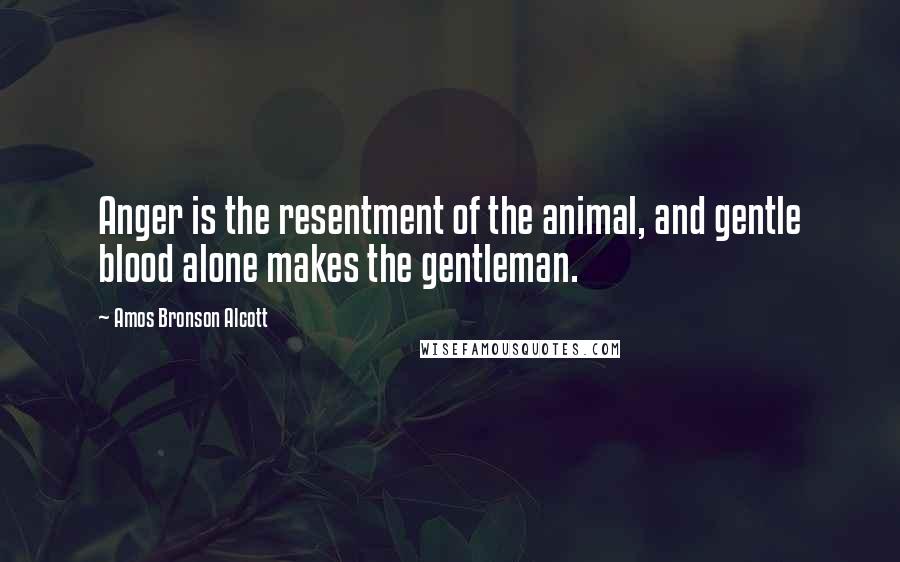 Amos Bronson Alcott Quotes: Anger is the resentment of the animal, and gentle blood alone makes the gentleman.