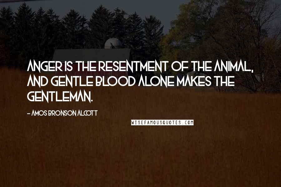 Amos Bronson Alcott Quotes: Anger is the resentment of the animal, and gentle blood alone makes the gentleman.