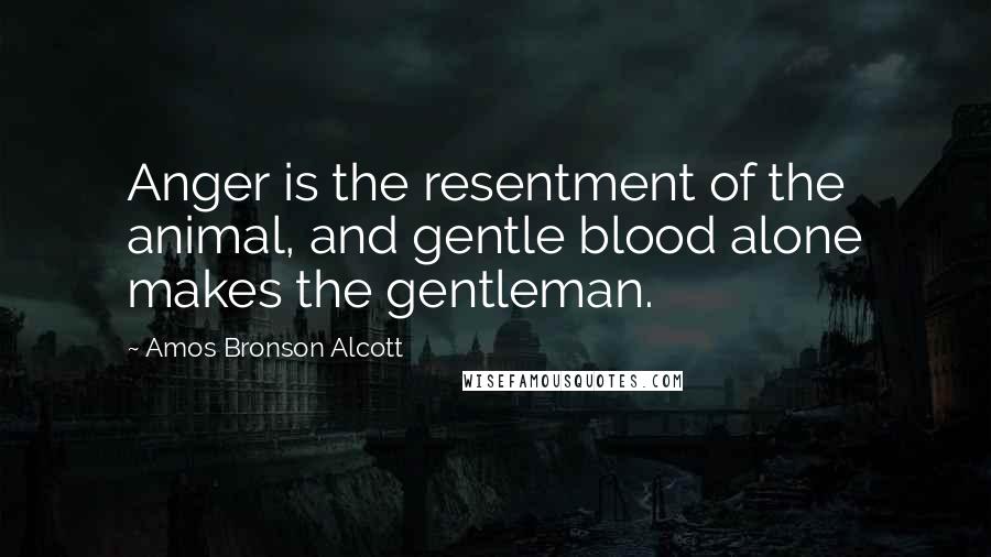 Amos Bronson Alcott Quotes: Anger is the resentment of the animal, and gentle blood alone makes the gentleman.