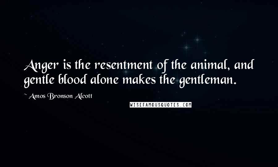 Amos Bronson Alcott Quotes: Anger is the resentment of the animal, and gentle blood alone makes the gentleman.