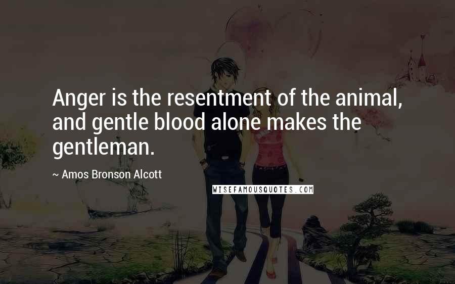 Amos Bronson Alcott Quotes: Anger is the resentment of the animal, and gentle blood alone makes the gentleman.