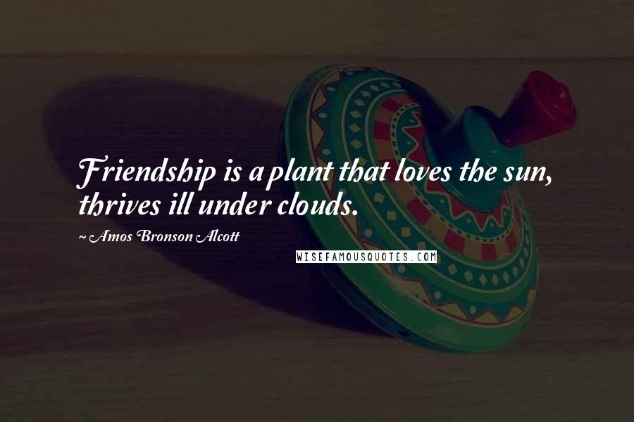 Amos Bronson Alcott Quotes: Friendship is a plant that loves the sun, thrives ill under clouds.