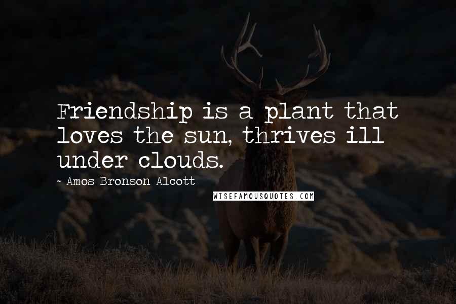 Amos Bronson Alcott Quotes: Friendship is a plant that loves the sun, thrives ill under clouds.