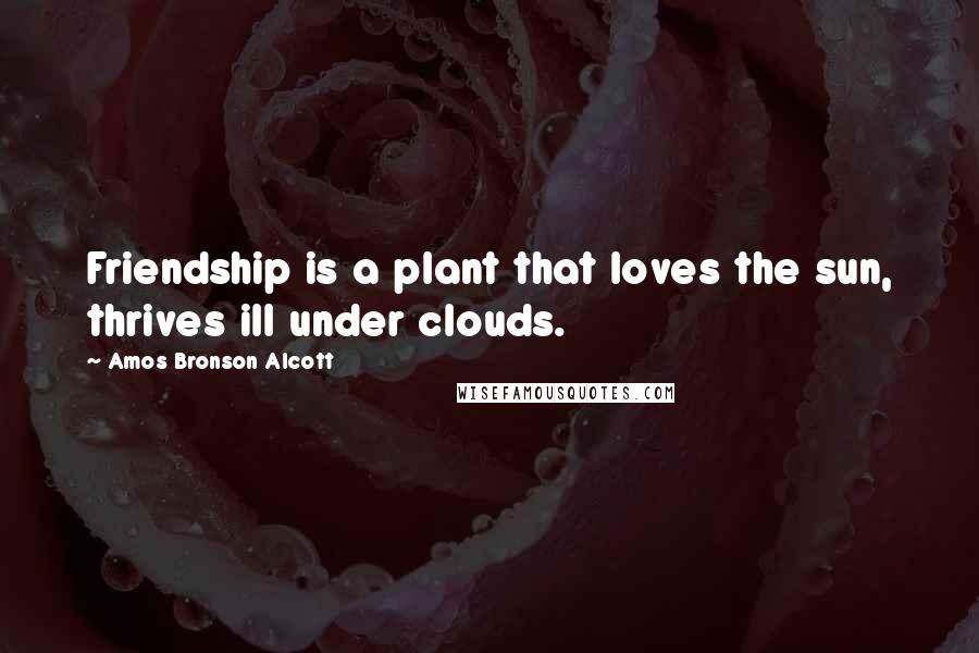 Amos Bronson Alcott Quotes: Friendship is a plant that loves the sun, thrives ill under clouds.