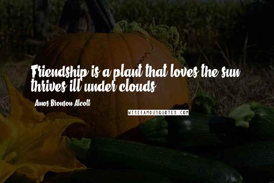 Amos Bronson Alcott Quotes: Friendship is a plant that loves the sun, thrives ill under clouds.