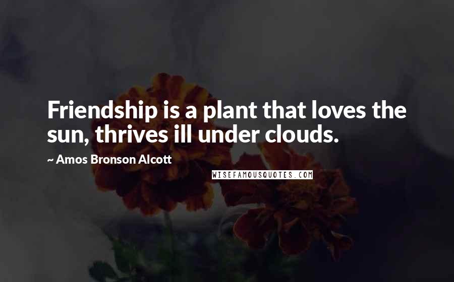 Amos Bronson Alcott Quotes: Friendship is a plant that loves the sun, thrives ill under clouds.