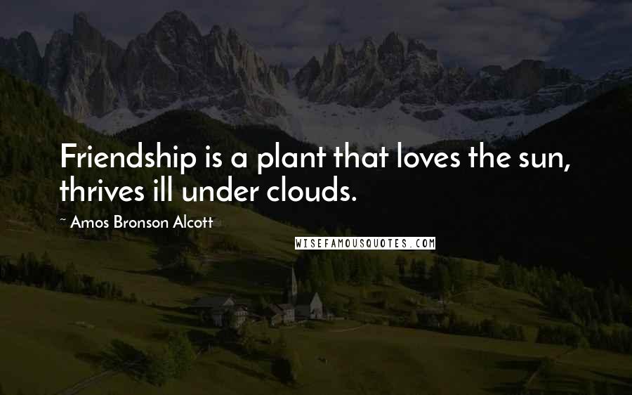 Amos Bronson Alcott Quotes: Friendship is a plant that loves the sun, thrives ill under clouds.