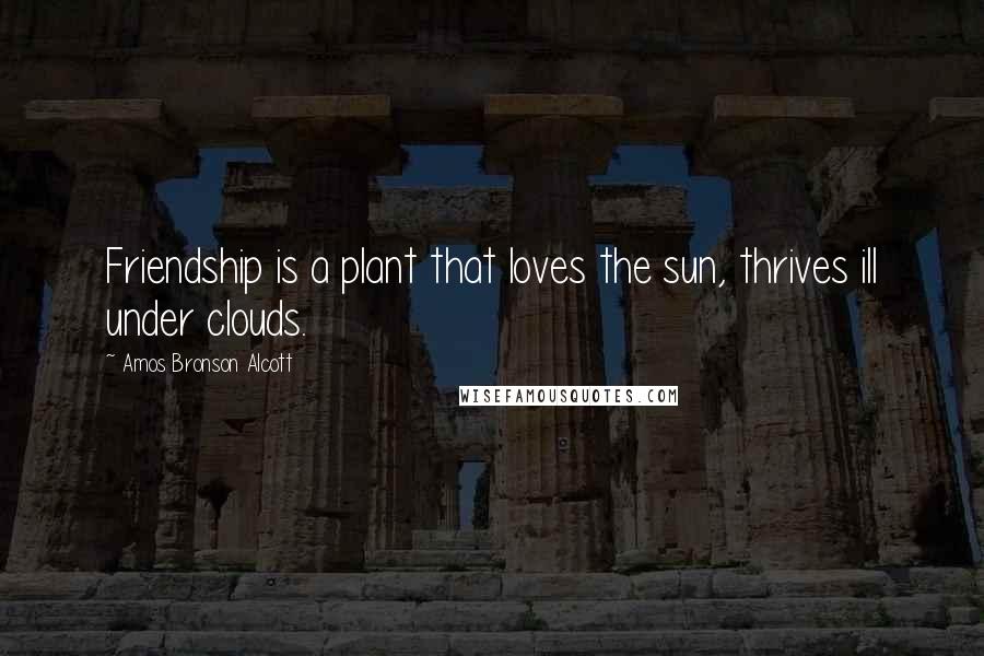 Amos Bronson Alcott Quotes: Friendship is a plant that loves the sun, thrives ill under clouds.