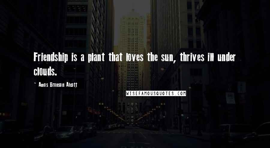 Amos Bronson Alcott Quotes: Friendship is a plant that loves the sun, thrives ill under clouds.