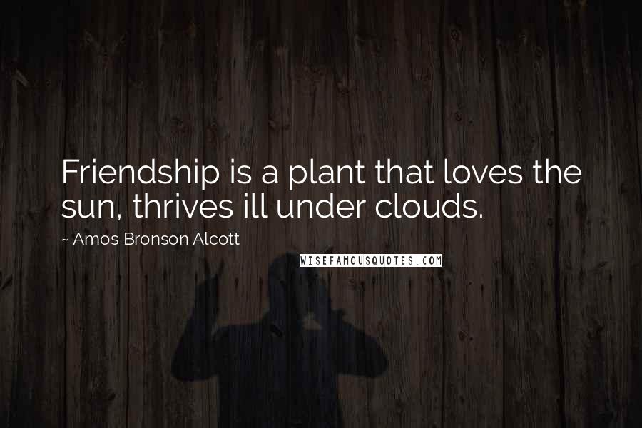Amos Bronson Alcott Quotes: Friendship is a plant that loves the sun, thrives ill under clouds.