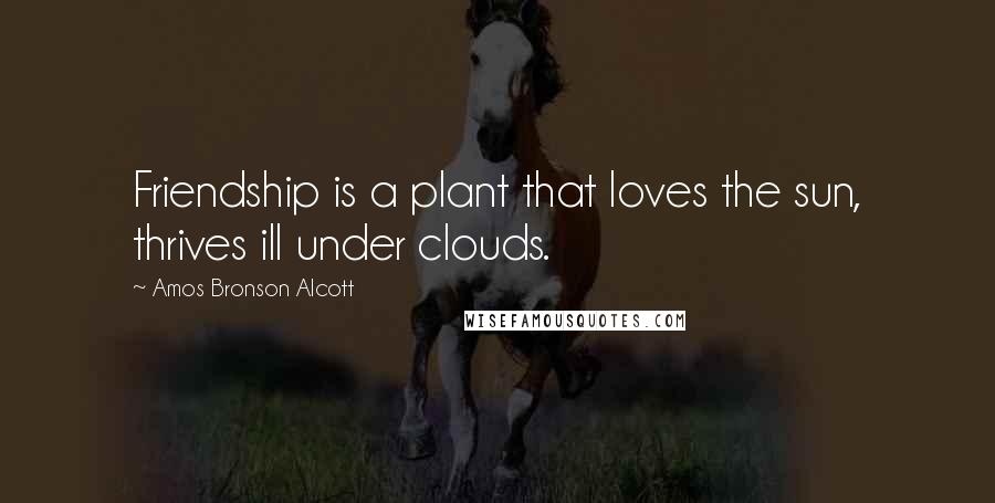 Amos Bronson Alcott Quotes: Friendship is a plant that loves the sun, thrives ill under clouds.
