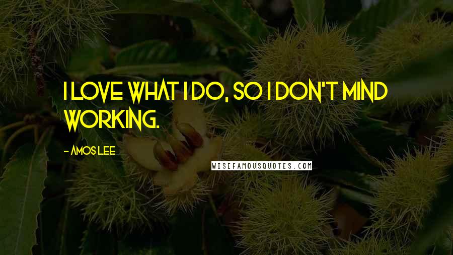 Amos Lee Quotes: I love what I do, so I don't mind working.
