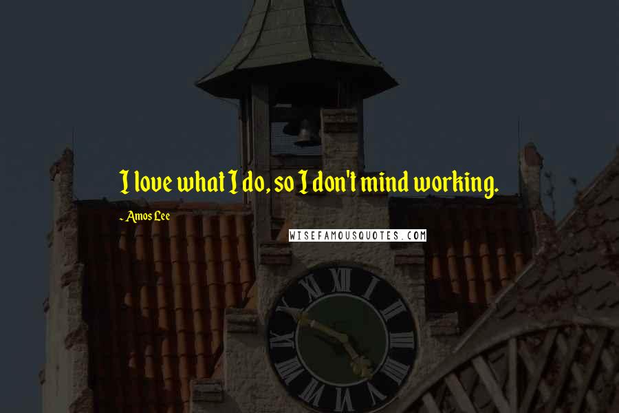 Amos Lee Quotes: I love what I do, so I don't mind working.