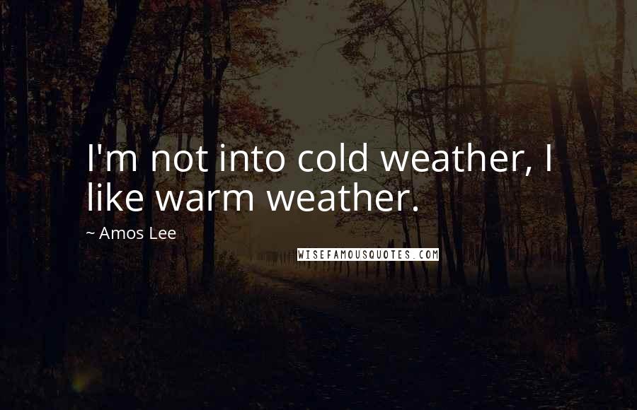 Amos Lee Quotes: I'm not into cold weather, I like warm weather.