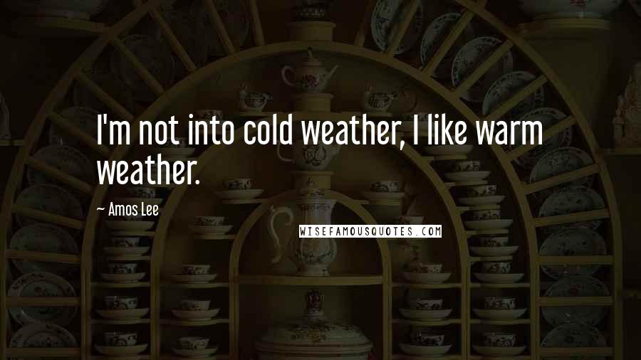 Amos Lee Quotes: I'm not into cold weather, I like warm weather.