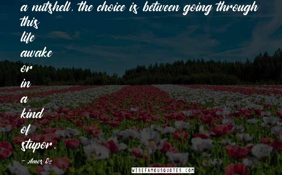 Amos Oz Quotes: a nutshell, the choice is between going through this life awake or in a kind of stupor.