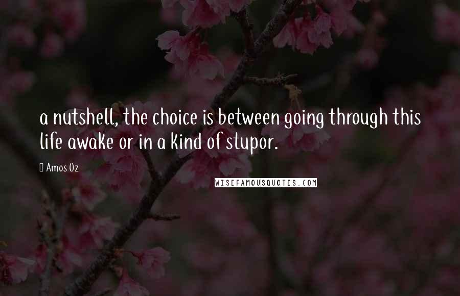 Amos Oz Quotes: a nutshell, the choice is between going through this life awake or in a kind of stupor.