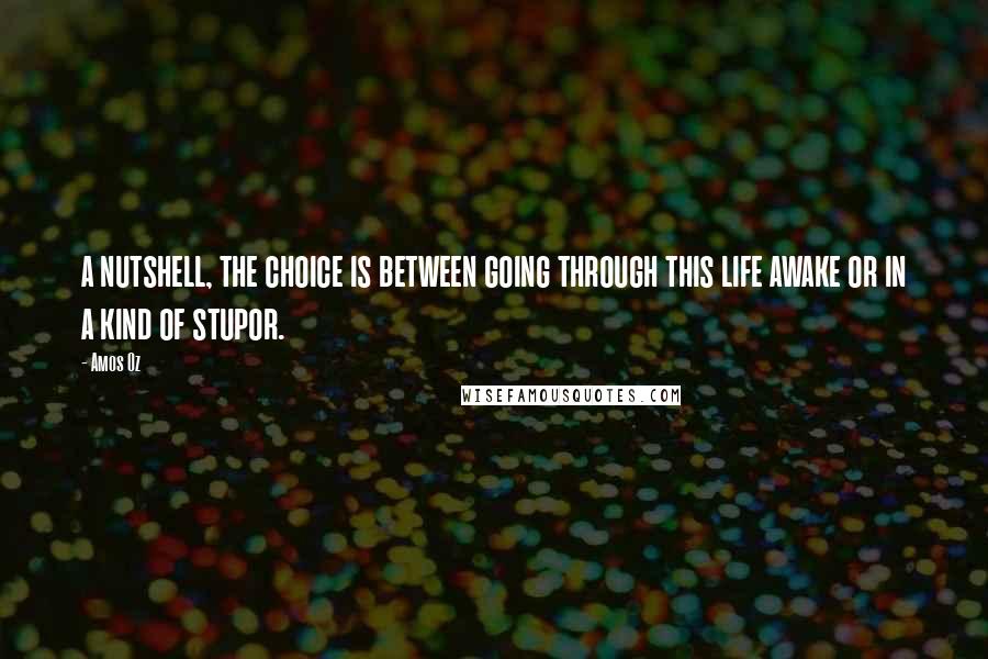 Amos Oz Quotes: a nutshell, the choice is between going through this life awake or in a kind of stupor.