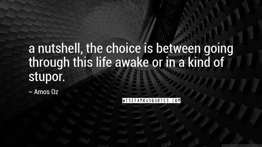 Amos Oz Quotes: a nutshell, the choice is between going through this life awake or in a kind of stupor.