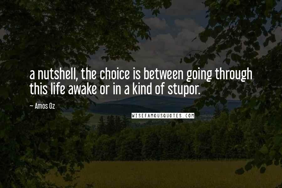 Amos Oz Quotes: a nutshell, the choice is between going through this life awake or in a kind of stupor.