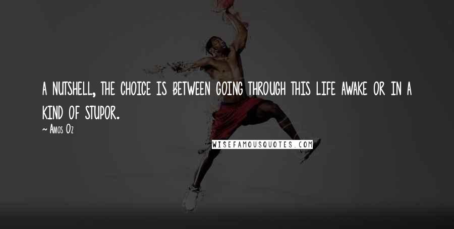 Amos Oz Quotes: a nutshell, the choice is between going through this life awake or in a kind of stupor.