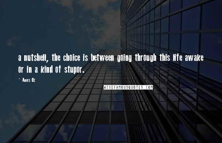 Amos Oz Quotes: a nutshell, the choice is between going through this life awake or in a kind of stupor.