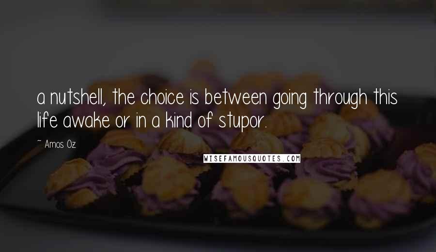 Amos Oz Quotes: a nutshell, the choice is between going through this life awake or in a kind of stupor.