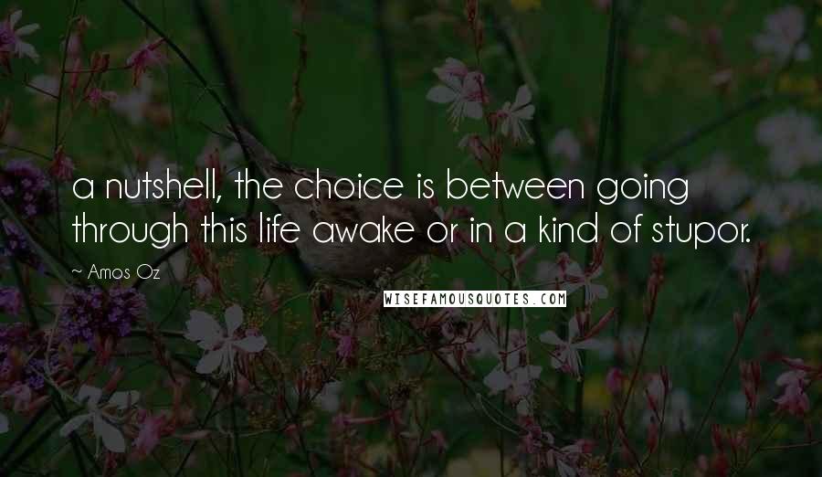 Amos Oz Quotes: a nutshell, the choice is between going through this life awake or in a kind of stupor.