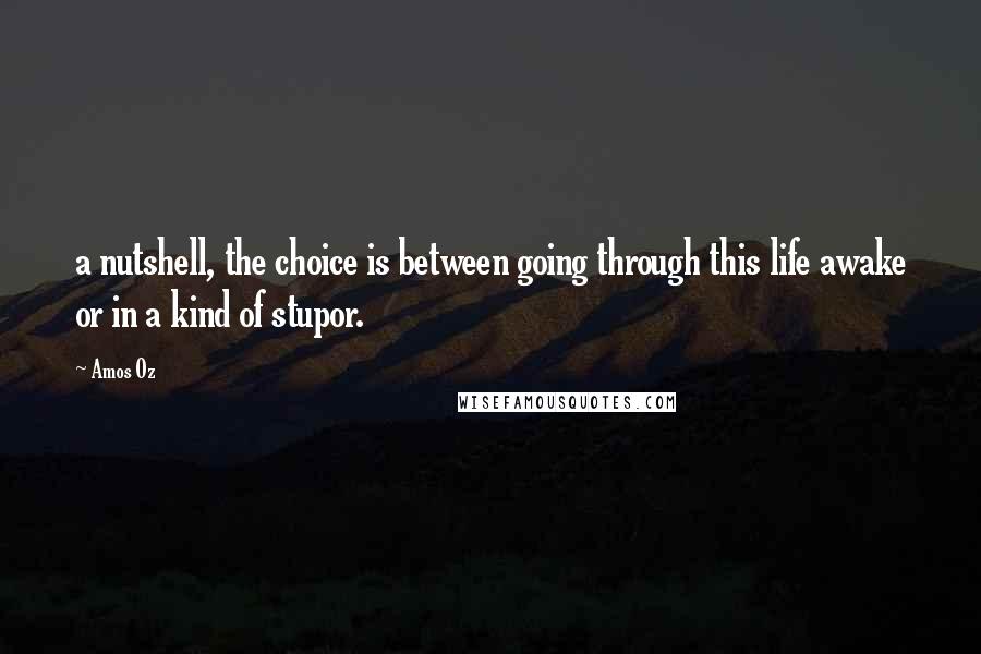 Amos Oz Quotes: a nutshell, the choice is between going through this life awake or in a kind of stupor.