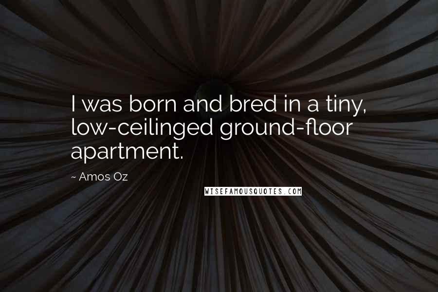 Amos Oz Quotes: I was born and bred in a tiny, low-ceilinged ground-floor apartment.