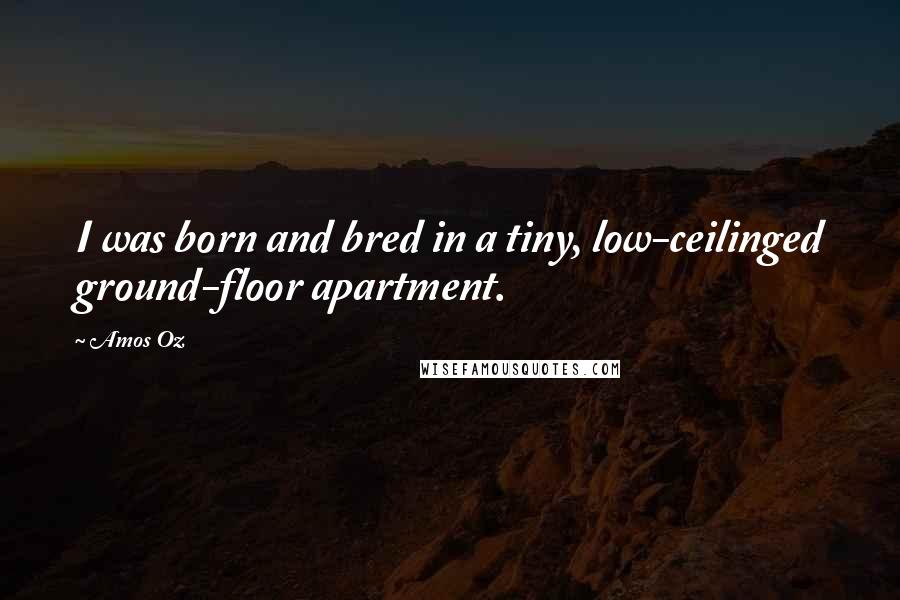 Amos Oz Quotes: I was born and bred in a tiny, low-ceilinged ground-floor apartment.