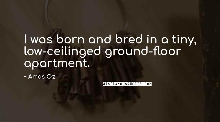 Amos Oz Quotes: I was born and bred in a tiny, low-ceilinged ground-floor apartment.