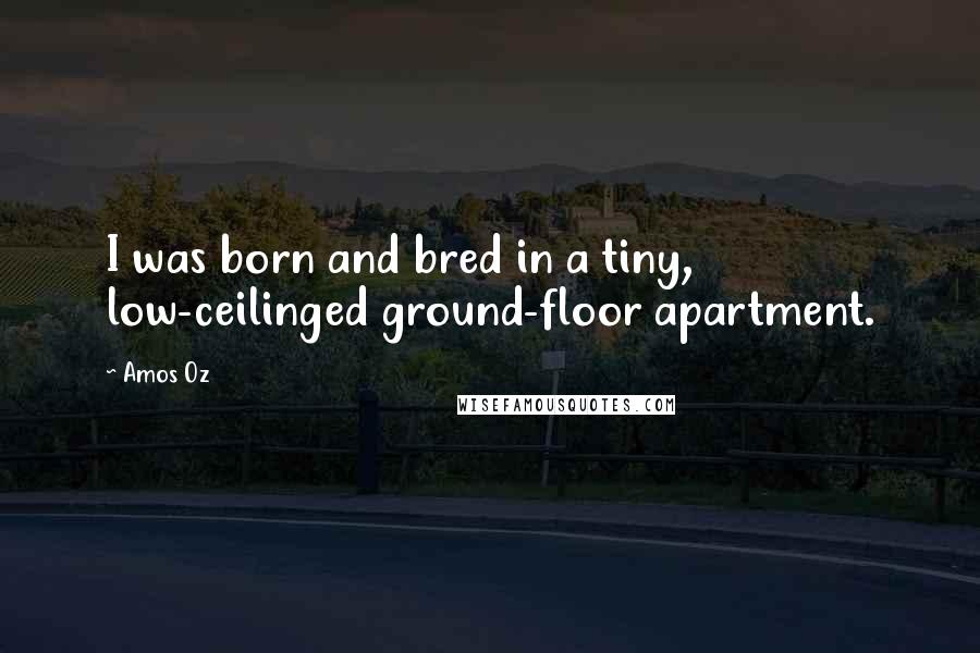 Amos Oz Quotes: I was born and bred in a tiny, low-ceilinged ground-floor apartment.