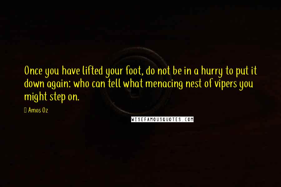 Amos Oz Quotes: Once you have lifted your foot, do not be in a hurry to put it down again: who can tell what menacing nest of vipers you might step on.