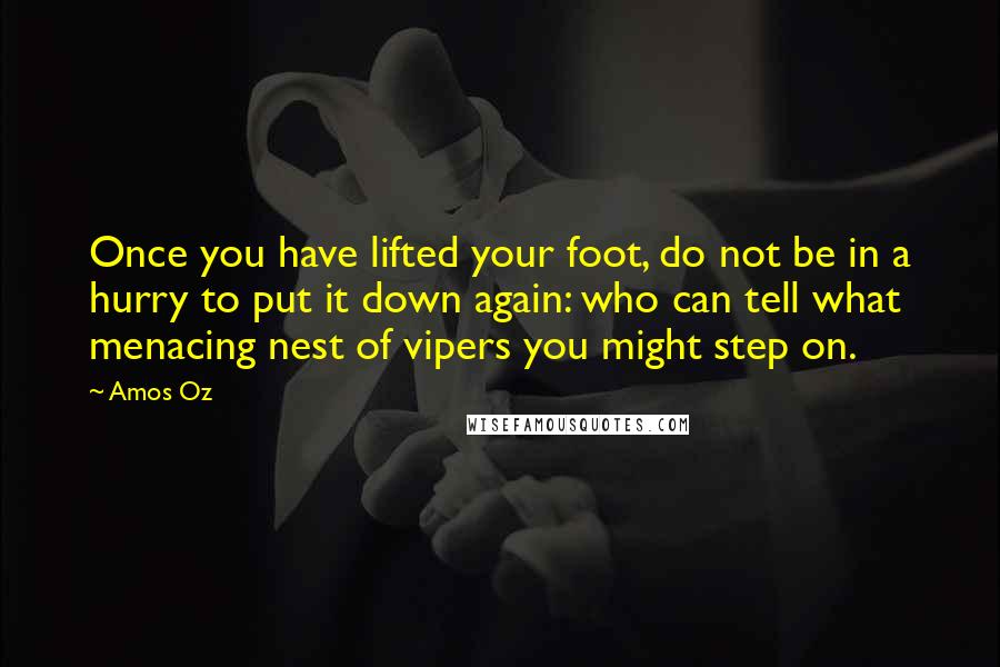 Amos Oz Quotes: Once you have lifted your foot, do not be in a hurry to put it down again: who can tell what menacing nest of vipers you might step on.