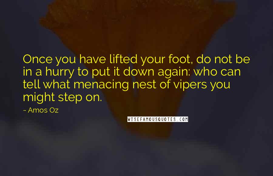 Amos Oz Quotes: Once you have lifted your foot, do not be in a hurry to put it down again: who can tell what menacing nest of vipers you might step on.