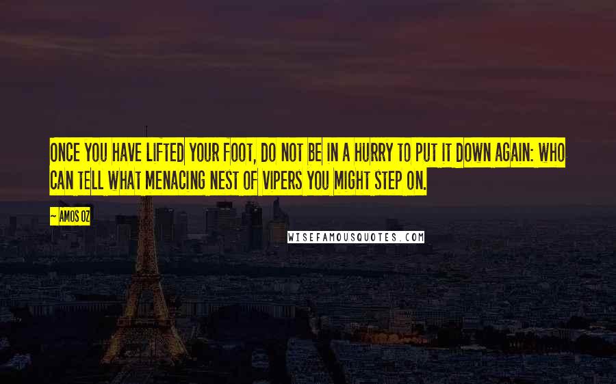 Amos Oz Quotes: Once you have lifted your foot, do not be in a hurry to put it down again: who can tell what menacing nest of vipers you might step on.