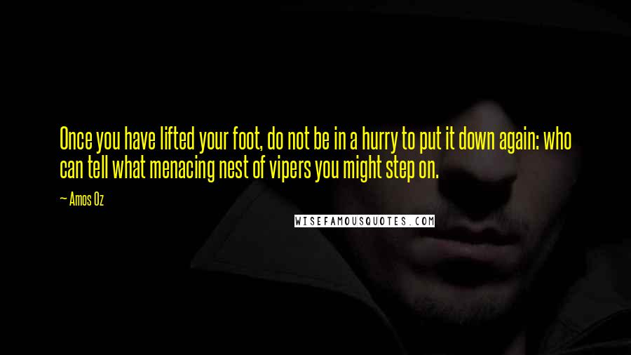 Amos Oz Quotes: Once you have lifted your foot, do not be in a hurry to put it down again: who can tell what menacing nest of vipers you might step on.