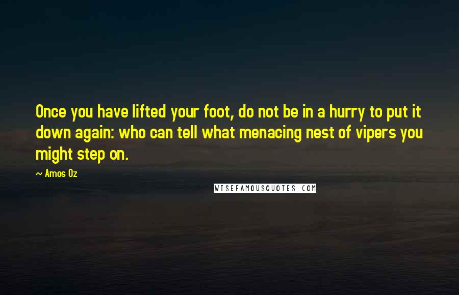 Amos Oz Quotes: Once you have lifted your foot, do not be in a hurry to put it down again: who can tell what menacing nest of vipers you might step on.