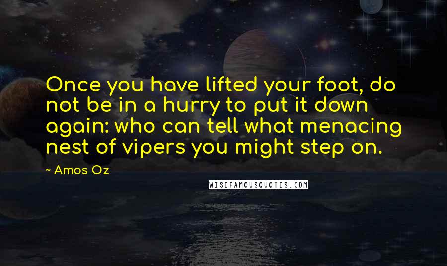 Amos Oz Quotes: Once you have lifted your foot, do not be in a hurry to put it down again: who can tell what menacing nest of vipers you might step on.